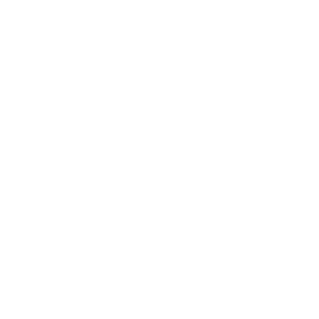 Wearzo Logo